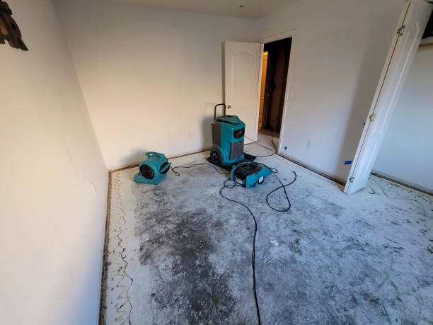 Best Water damage restoration specialists  in Beach Park, IL