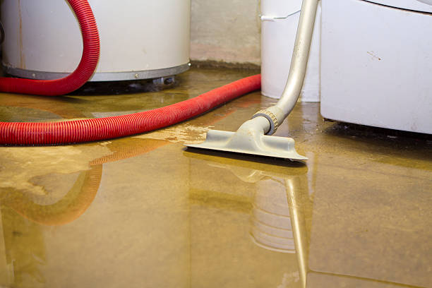 Water damage restoration mold remediation in Beach Park, IL