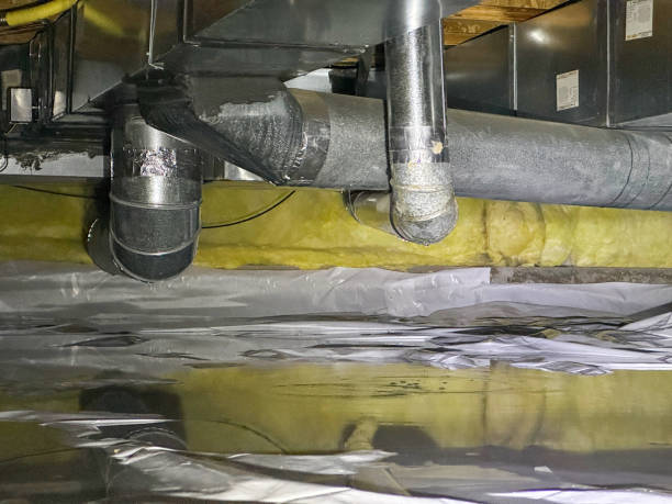 Best Water damage restoration cost  in Beach Park, IL